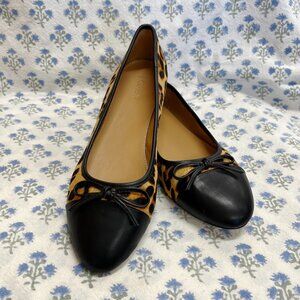 New J.Crew leopard print calf hair ballet flats with black cap toe